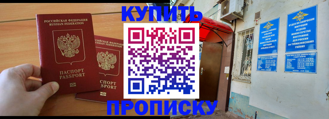 прописка штамп в Павловске